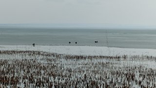 Ice_Melting_on_Lake_Balaton