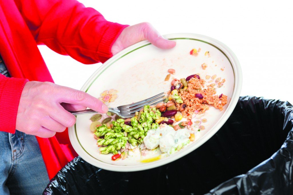 food-waste-1-1024x682