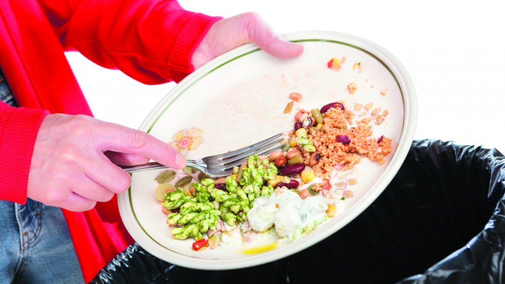 food-waste-1-1024x682