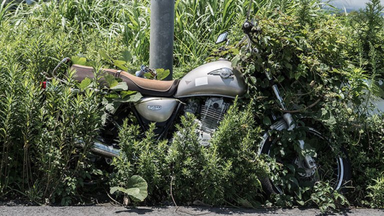 Моторът скоро ще се изгуби под гъстата растителност