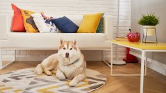 Ваканционна дестинация: А7