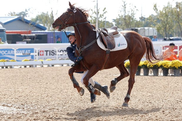 Както и такива, но на състезанието по модерен петобой от Азиатските игри. Казахстанецът Павел Иляшенко не успя да се задържи на коня.