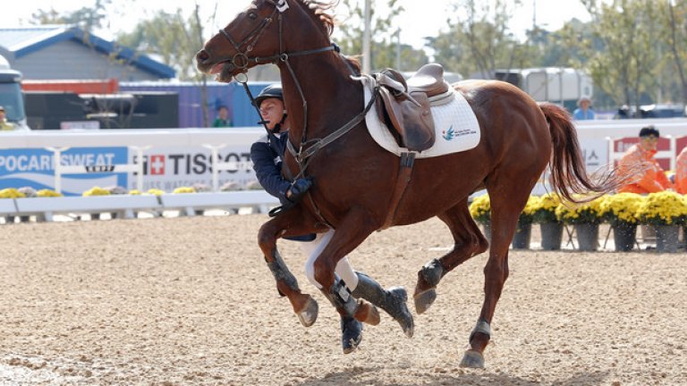 20. Конната езда е единственият олимпийски спорт, в който мъжете и жените се състезават заедно