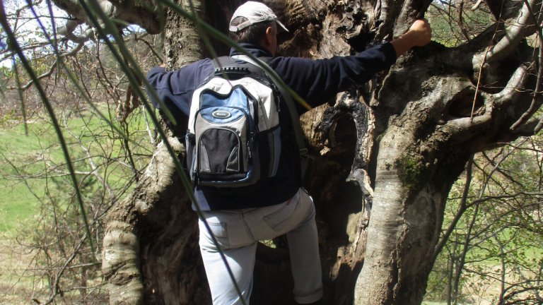 Родопската тишина на Киселчово