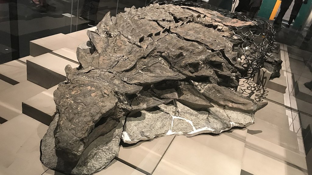 1280px-Nodosaur