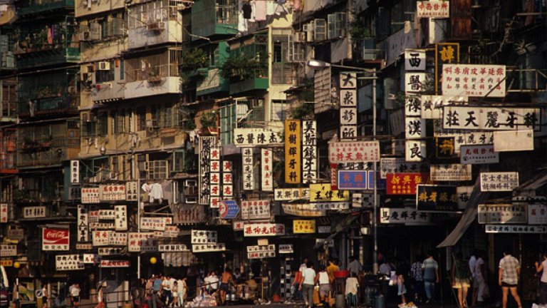 Калун доказва, че под слънцето има място за всичко и всеки