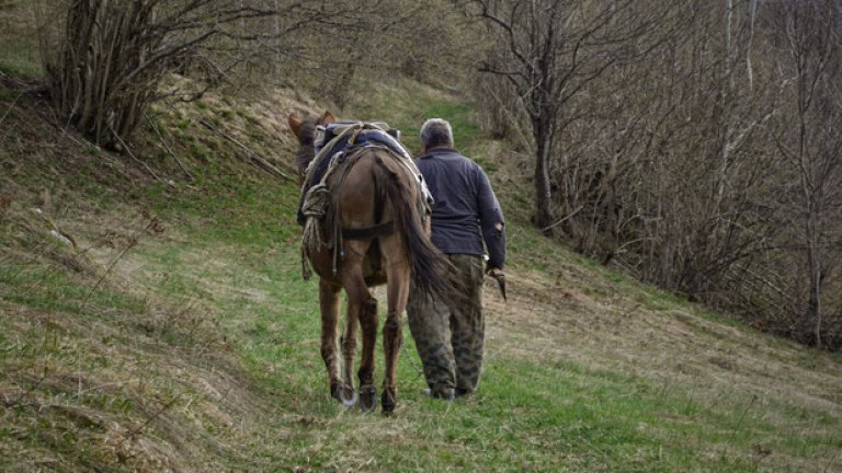 Времето ще покаже дали Киселчово отново ще се превърне в оживено село, или ще е поредното изчезнало от картата. Едно обаче е сигурно - докато има хора, които да пазят духа му жив, то ще продължи да съществува