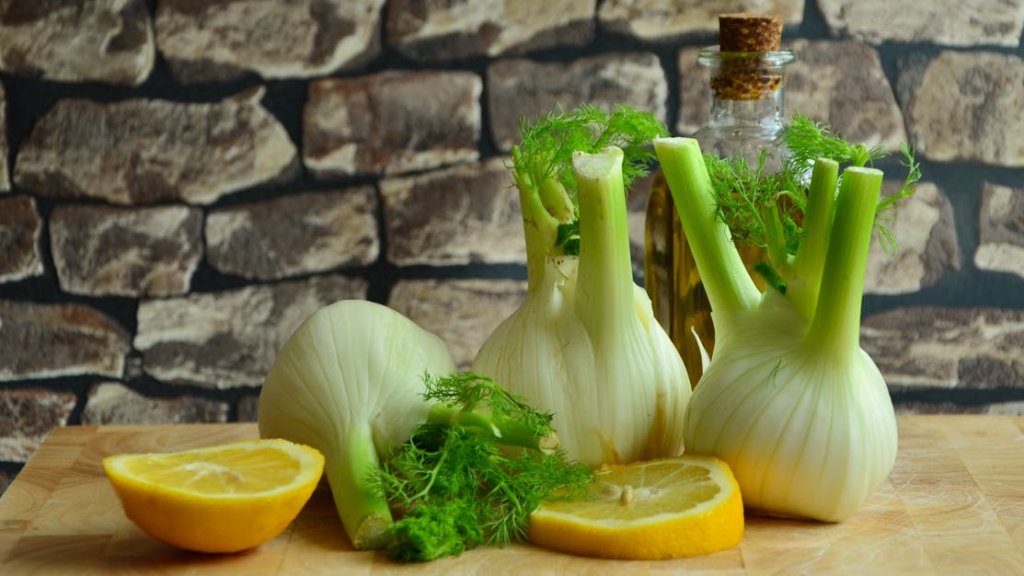 fennel-vegetables-fennel-bulb-food-159450