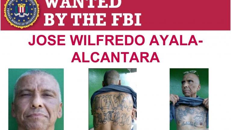 Трябваше да е от три години в затвора, но го заловиха в Мексико