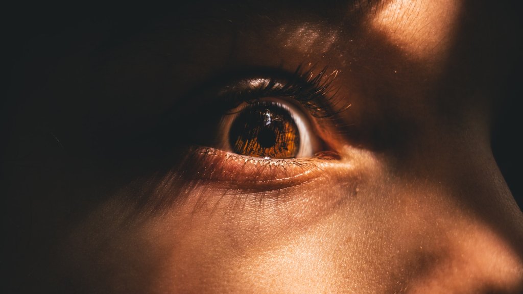 tommy-van-kessel-KQcEbnXqSTE-unsplash