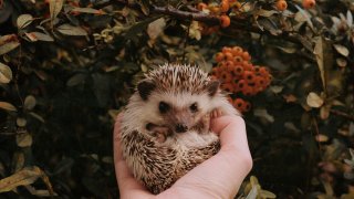 sierra-nicole-narvaeth-aM7r5lqKhiY-unsplash