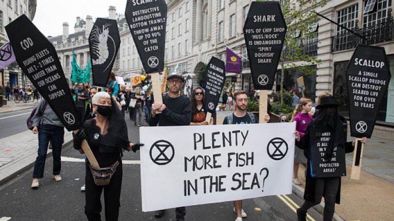 След бума на алтернативното месо следват и морските дарове