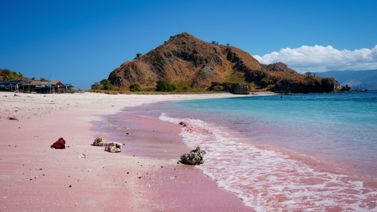 Розовият плаж, остров Падар, Индонезия
Част от Национален парк Комодо, този плаж действително има розов като захарен памук цвят – един от малкото в света. Окраската се дължи на вид червени корали, чиито останки са се смесили с пясъка.
Корали и пасажи тропически рибки има и във водата, така че мястото е идеално за шнорхелинг.