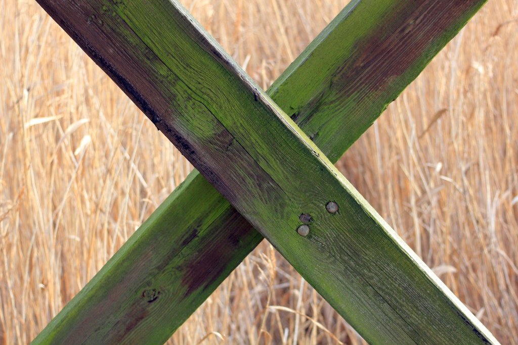 wood-515054_1920