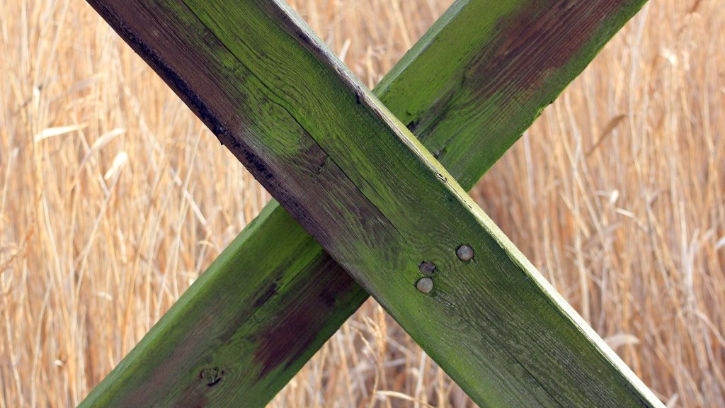 wood-515054_1920