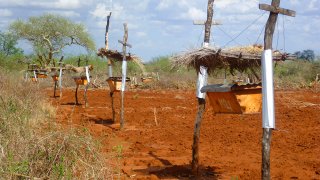 beehive-fence-project