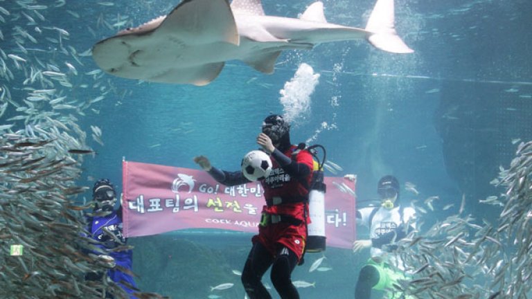 Внимание! Идват акулите от Корея!