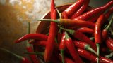 Лютите чушки са култивирани в Централна и Южна Америка преди хиляди години и по-късно са интегрирани в кулинарните традиции по целия свят