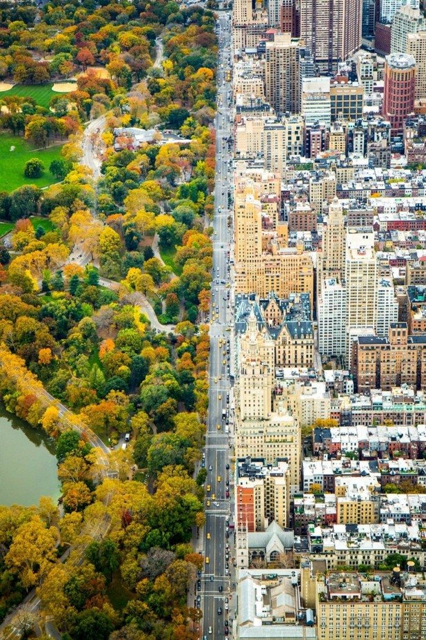 Два свята. Ню Йорк, САЩ

Снимка: i.imgur.com