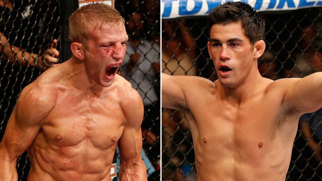 100114-ufc-Dillashaw-Cruz