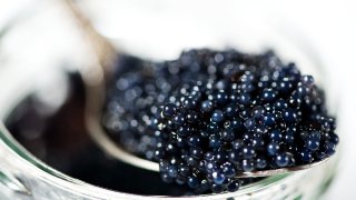 Caviar