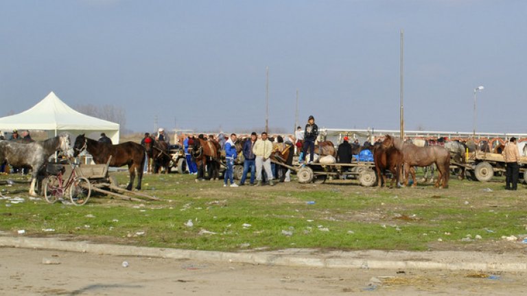 Всяка сряда в близост до джамията, в полето в края на квартала се организира конски пазар. Цената на един кон варира между 1000 лева (ако е стар) и 3000 лева. "За същите пари по-добре да си купиш кола" - казва малко тъжно Наско, който ни прави компания. И все пак доста роми предпочитат конете