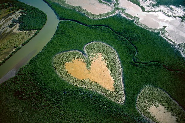 Mangroves, Нова Каледония