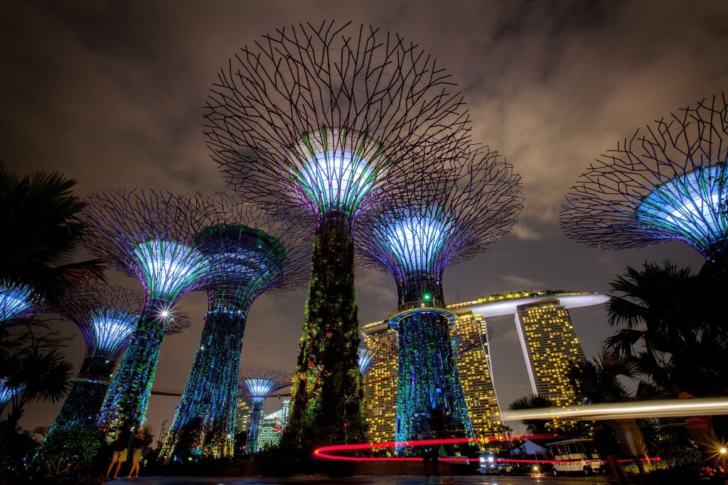 Gardens By The Bay - Supertrees Light Show Opens