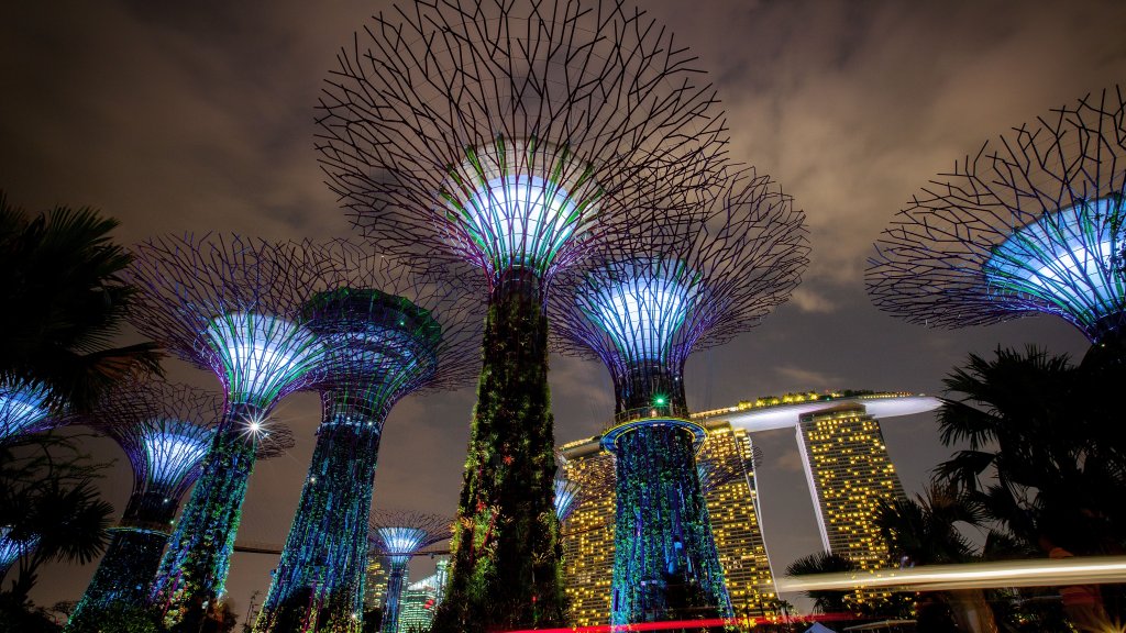 Gardens By The Bay - Supertrees Light Show Opens