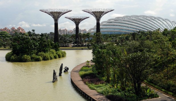Супердървета правят ток в Сингапур 