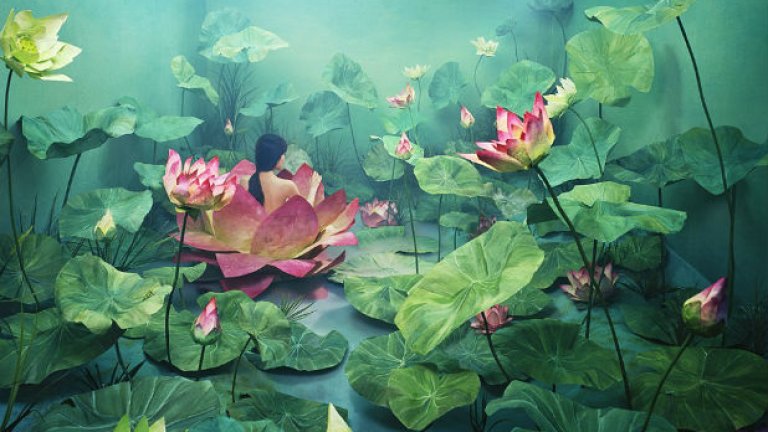 Приказки в стая