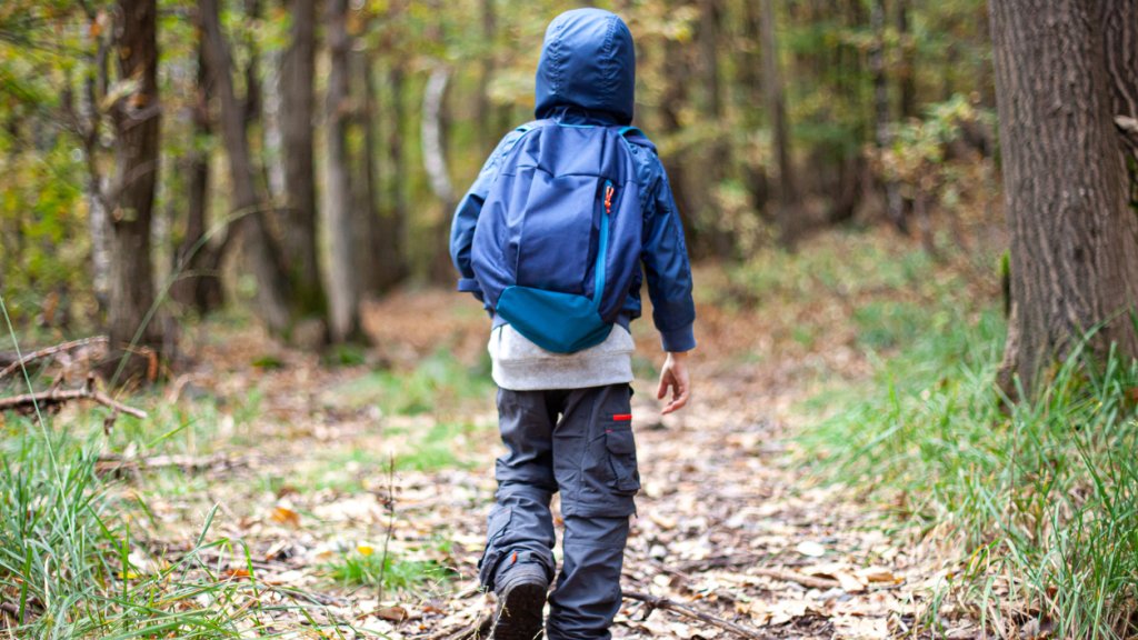 A little boy walks alone in the woods. A boy hiking in an autumn forest. A runaway boy. A Kid on the run in the wood.