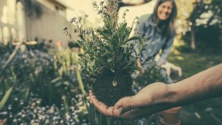 benjamin-combs-wuU_SSxDeS0-unsplash