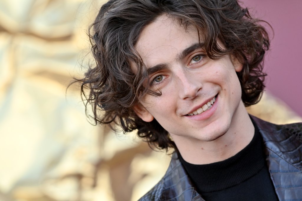 Los Angeles Premiere Of Warner Bros. "Wonka" - Arrivals