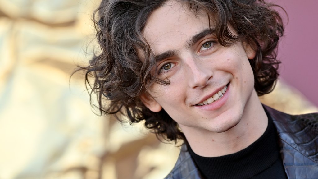 Los Angeles Premiere Of Warner Bros. "Wonka" - Arrivals