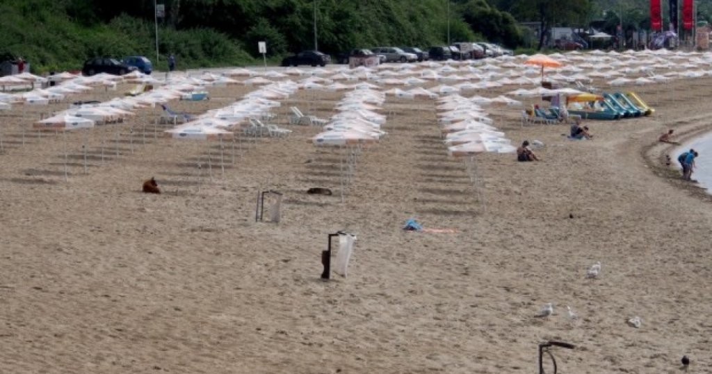 46284-15827f3bc2cae74c67746a6b466ab2b3_1024x555_960_539