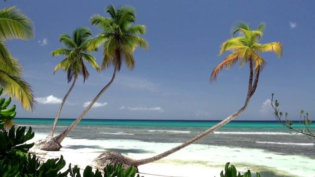 sandy-caribbean-beach2