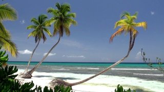 sandy-caribbean-beach2