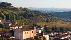 Брендола край Виченца използва истински носове, за да локализира източници на замърсяване