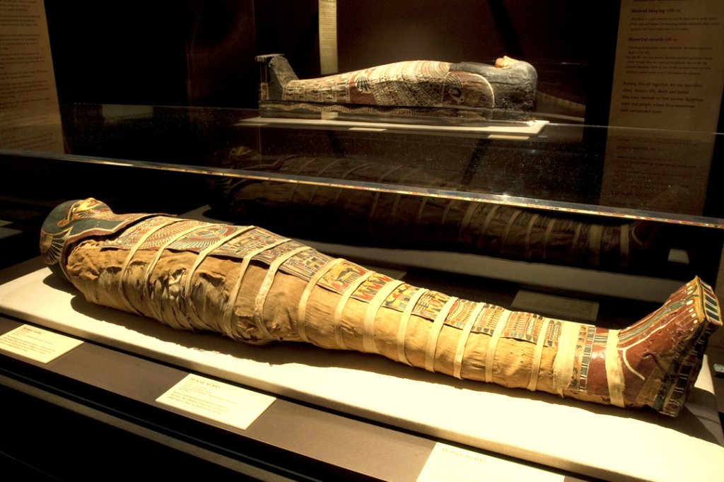 mummy-fixed