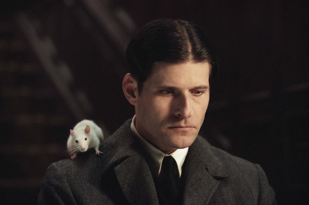 Плъхът в Willard, 2003