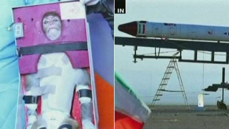 Маймуната и ракетата, с която тя се вдигна на 120 километра височина