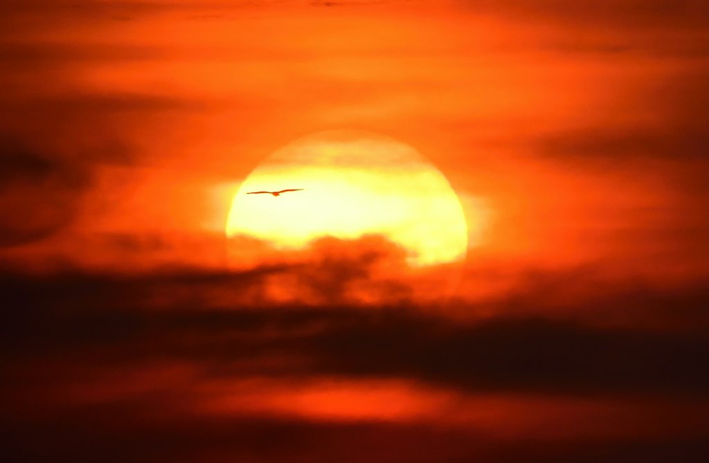sreenivas-UOJuaIAUrCI-unsplash
