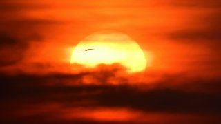 sreenivas-UOJuaIAUrCI-unsplash