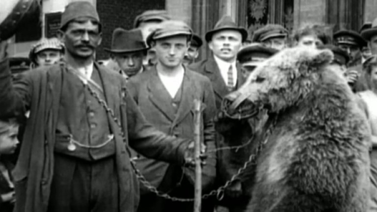 Денят на ромите - спомен за забравен ужас