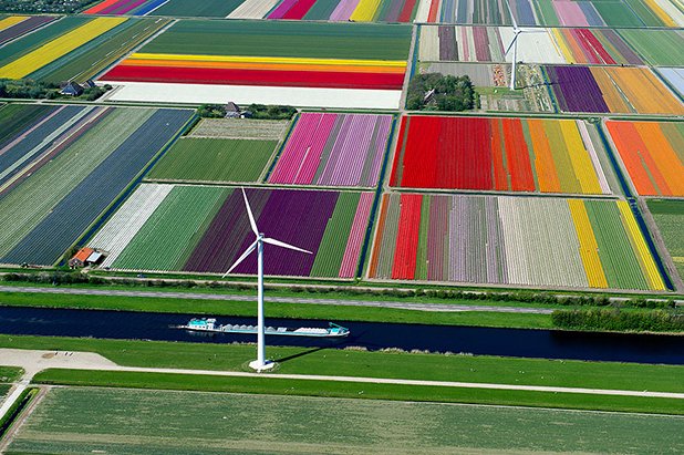 Полета с лалета, Холандия
