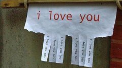 Повече от 43% от представителките на нежния пол казват думите "обичам те" без да ги мислят и чувстват