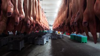 Колко струва пържолата?