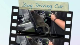 10735714_10203389124863912_1493975105_n