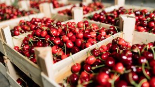 Ако не се вземат спешни мерки за подпомагане, цената ще е солена